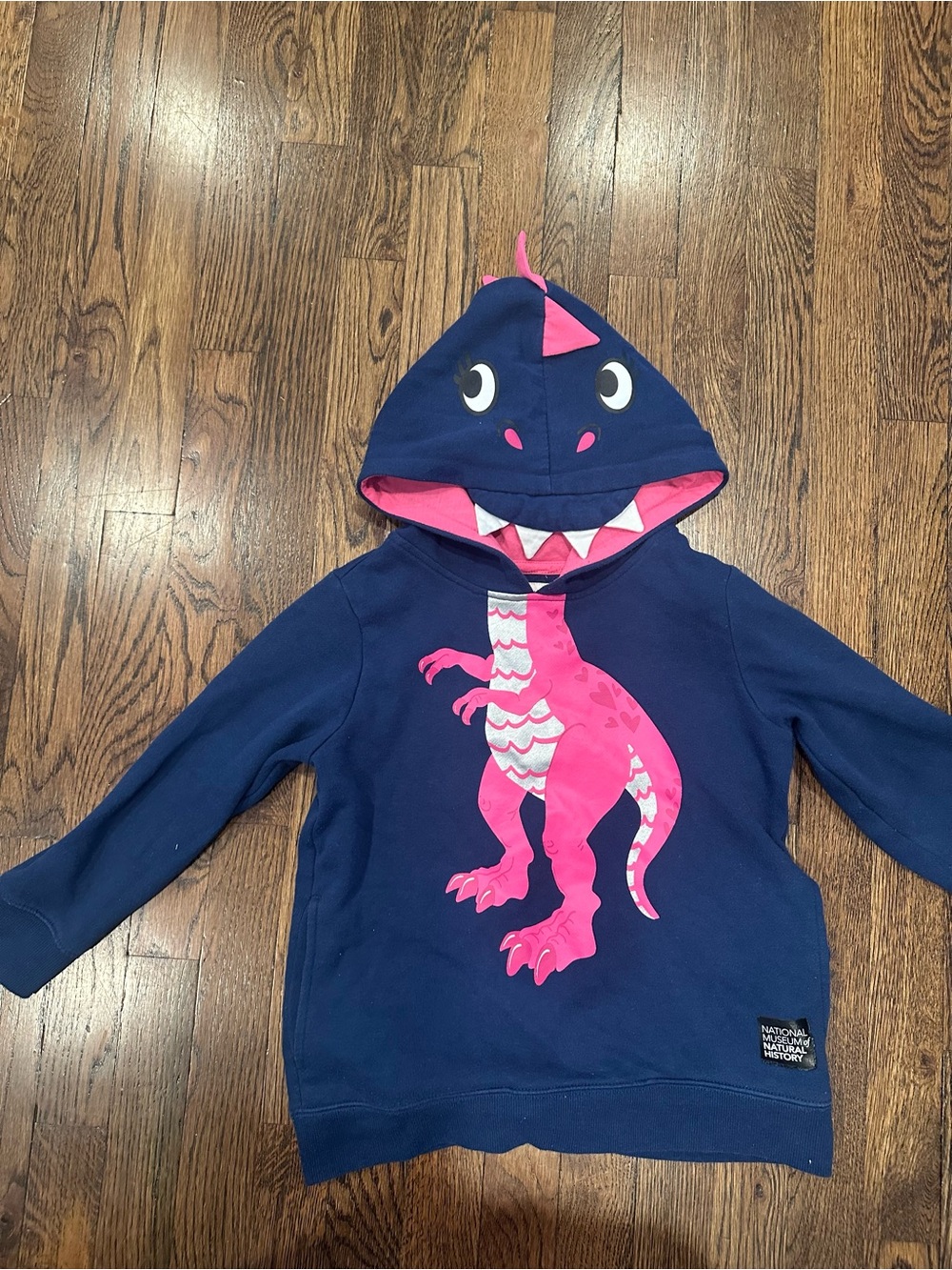 Kids Navy Hoodie with Pink Dino Graphic Hood